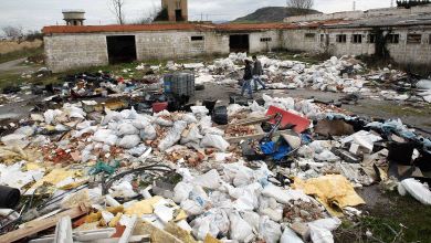 Proyecto de organisacion ecologista